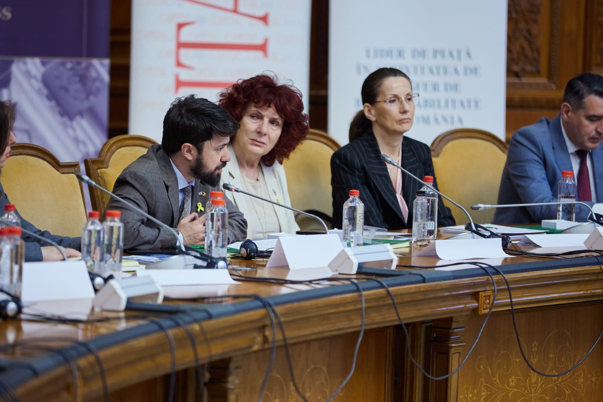 Asociatia DAR – Organizator Reuniune Internațională privind Femicidul — imagine 2
