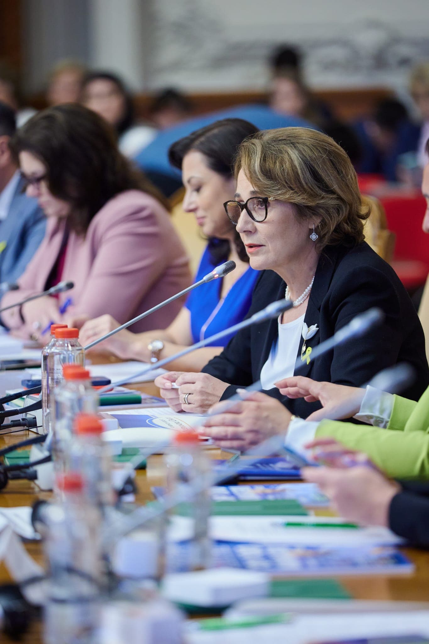 Asociatia DAR – Organizator Reuniune Internațională privind Femicidul — imagine 7